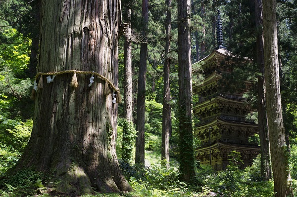羽黒山